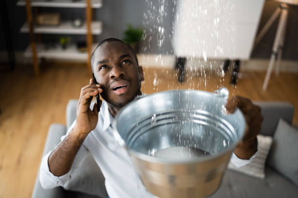 Best Water damage restoration near me  in Harrison, NY