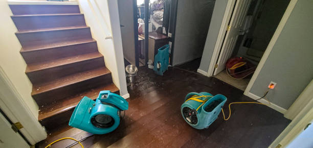 Best Local water damage restoration  in Harrison, NY