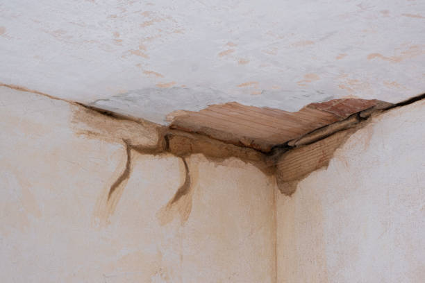 Best Water damage cleanup near me  in Harrison, NY