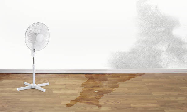Best Water damage restoration cost  in Harrison, NY