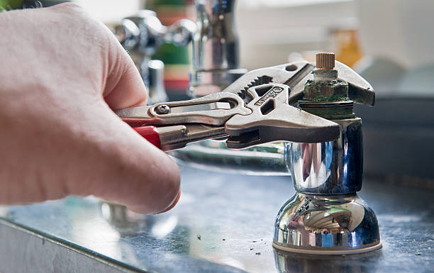 Best Mold removal after water damage  in Harrison, NY
