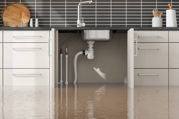 Reliable Harrison, NY Water damage restoration Solutions