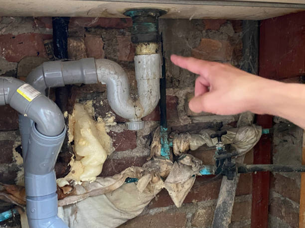 Best Professional water damage repair  in Harrison, NY