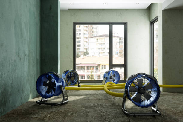 Best Sewage cleanup and water damage restoration  in Harrison, NY