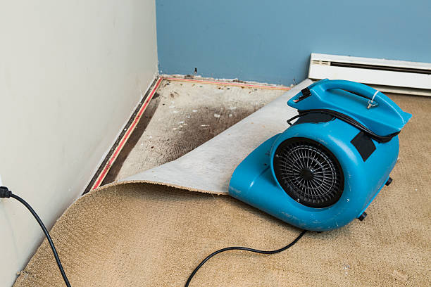 Best Flood restoration services  in Harrison, NY